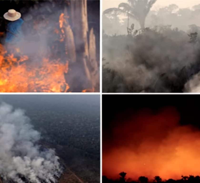 Fogo na amazônia, Bolsonaro e mentiras, um resumo das queimadas