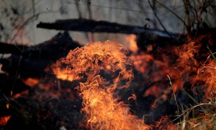 Fogo na amazônia, Bolsonaro e mentiras, um resumo das queimadas