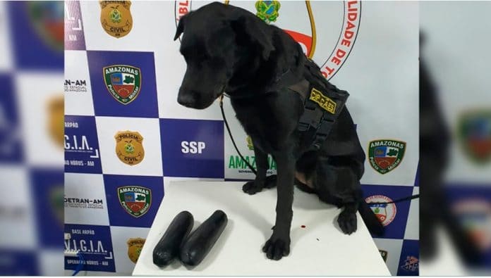 Coari-mulhers-são-presas-com-drogas-coladas-ao-corpo Coari - mulheres são presas com drogas coladas ao corpo