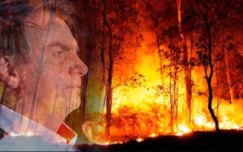 O Partido Rede pede que STF obrigue Bolsonaro a elaborar plano contra incêndios