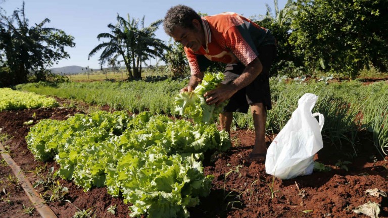 Desigualdade no prato: Um retrato das contradições do sistema alimentar brasileiro