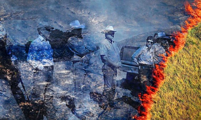 Grilagem-organizada-ameaça-biodiversidade-e-comunidades-do-Matopiba “Grilagem organizada” ameaça biodiversidade e comunidades do Matopiba
