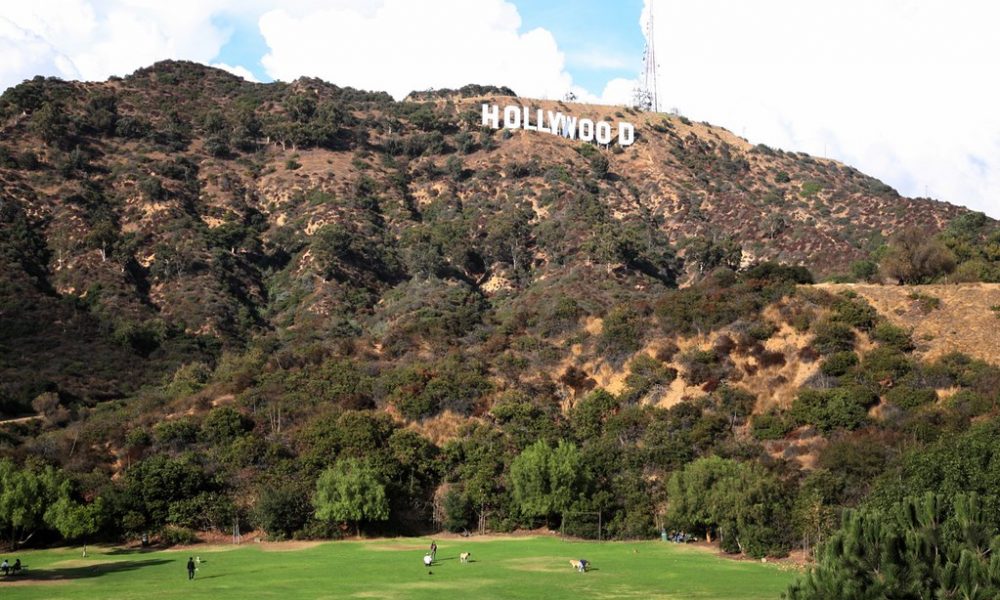 hollywood-placa